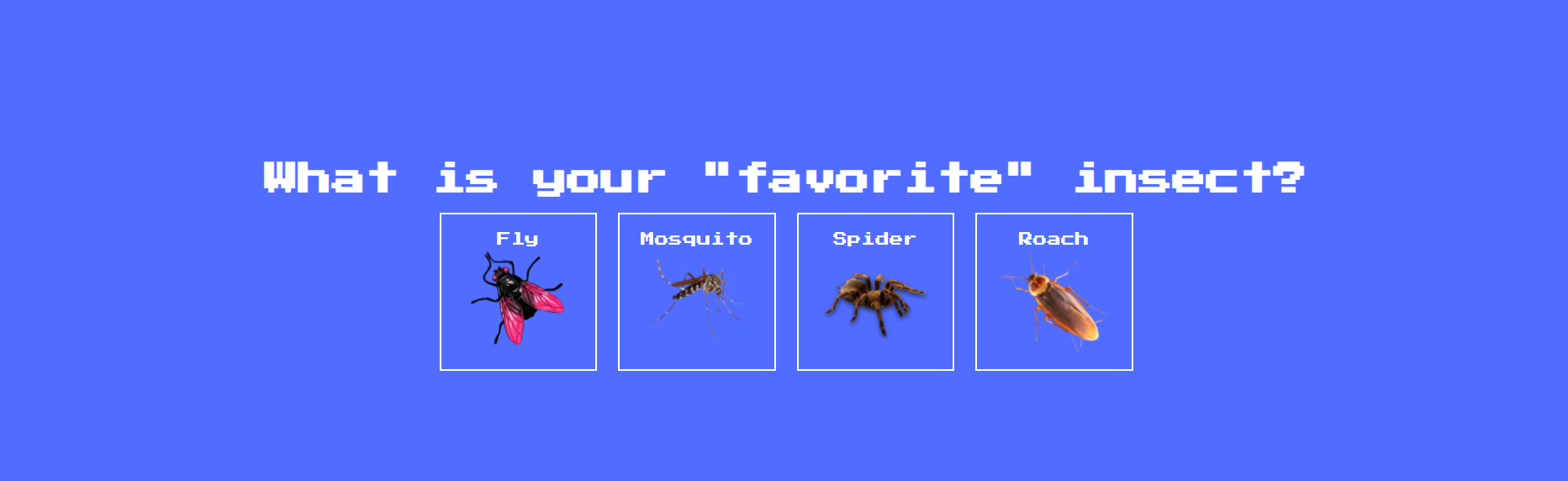 Insect
